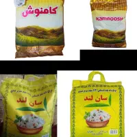 برنج هندی نووپلمپ