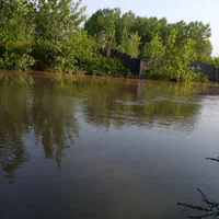 ویلا کنار رودخانه تاب باغی وباربیکیو وجا ماهیگیری|اجارهٔ کوتاه‌مدت ویلا و باغ|رودبنه, |دیوار