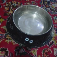 ۸میلیون|سگ|مشهد, شیرودی|دیوار