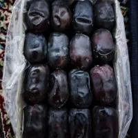 فروش تعداد۵۰۰ مادرکارتن خرمادرجه یک