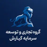 جذب سرمایه گذار