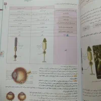 کتاب کنکور وکمک درسی زیست شناسی 2 خیلی سبز|کتاب و مجله آموزشی|هشتگرد, هشتگرد قدیم|دیوار