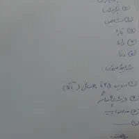 راننده سواری با خودروی مدل ۹۷ به بالا.سازمان دولتی