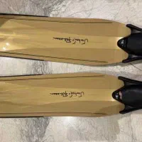 مژدگانی برای فین گم شده