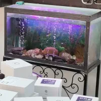 فروش اکواریوم به همراه زیر آکواریوم فرفوژه