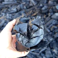 زغال کبابی با گارانتی کتبی