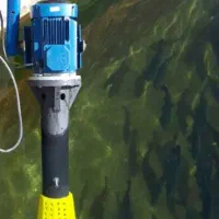 نیاز مند نگهبان