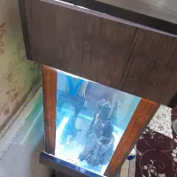 اکواریوم باماهی لجن خوار طلایی و یه سری لوازم|ماهی|اسلامشهر, شهرک قائمیه|دیوار