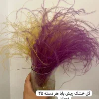 فروش وسایل گل‌آرایی(گلفروشی)|گل و گیاه طبیعی|شیراز, شهرک گلدشت حافظ‎|دیوار