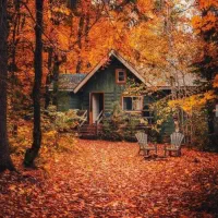 رنگ کاری و نقاشی