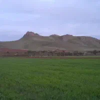 باغ|فروش دفتر صنعتی، کشاورزی، تجاری|دینور, |دیوار