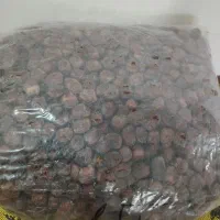 خرما خاصویی