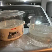 بخار پز سانی