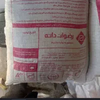 کنسانتره عمومی رضوان دانه