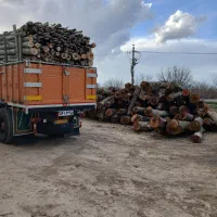 خریدار چوب هستم|خدمات باغبانی و درختکاری|نورآباد, |دیوار