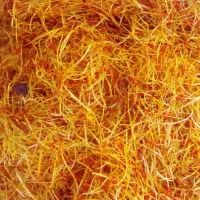 ریشه زعفران  امسالی