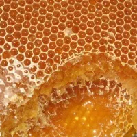 عسل درجه یک اردبیل