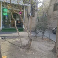 مغازه بهر فروشی سرقفلی ملکیت معاوضه باخودرو