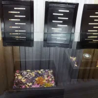میز نهار خوری شرکتی ۸ نفره
