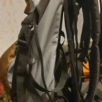 کوله کوهنوردی|کیف، کفش، کمربند|قزوین, |دیوار