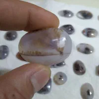 سنگ شجر قاین بی نظیر تک درخت سوزنی|جواهرات|مشهد, ثامن|دیوار