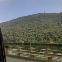 جایگزین تخت دانشجویی دختران بهار نارنج