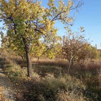 زمین ۴۰۰۰ متری ویلایی مجوزدار روستای ارنسا سند دار