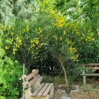 ویلا-فلت-سه-خواب-دوکله-شمالی-جنوبی-فاز5