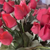 غنچه گل رز لمسی|گل مصنوعی|تبریز, |دیوار