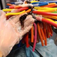 آموزشگاه تخصصی نارگون فردائم واحیاوصافی|خدمات آموزشی|کازرون, |دیوار