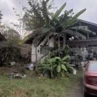 اجاره ویلایی جای دنج و آرام روستای آزرستانکی|اجارهٔ خانه و ویلا|لاهیجان, آهندان|دیوار