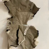 پوست گاو|پادری|تهران, پونک|دیوار