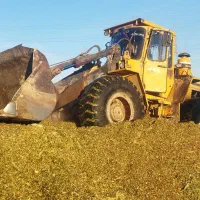 کارهای لودری و بیل بکهو|خدمات حمل و نقل|آق قلا, |دیوار