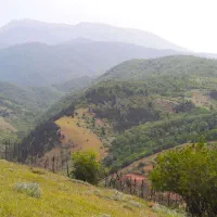 فروش زمین 37000 متری         (سند تک برگ)|فروش زمین و ملک کلنگی|توتکابن, |دیوار