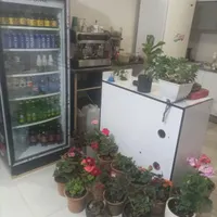 فر پاچینی فلافل دیزی یخچال ایستاده|کافی‌شاپ و رستوران|شیراز, ارم|دیوار
