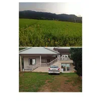 اجاره ویلا در روستای پیرهرات اسالم|اجارهٔ کوتاه‌مدت ویلا و باغ|اسالم, |دیوار