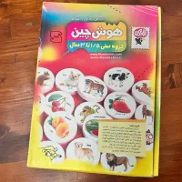 هوش چین