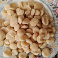 کشک خشک گاوی