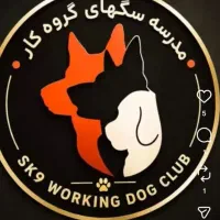 مدیر داخلی