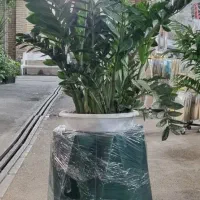 آپارتمانی لوکس بزرگ و کوچیک ۳۰٪تخفیف