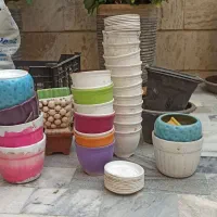 گلدان|گل و گیاه طبیعی|تهران, سلسبیل شمالی|دیوار