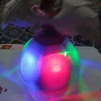 عروسک سوفیا|اسباببازی بچه|کرمانشاه, |دیوار