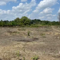 ۱۳۰۰۰ متر زمین ویژه سرمایهگذاری در گیلان|فروش دفتر صنعتی، کشاورزی، تجاری|شفت, |دیوار