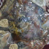 عقیق شجر قاین زمینه خاص|جواهرات|اردبیل, |دیوار