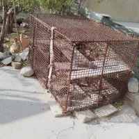 فروش قفس بزرگ