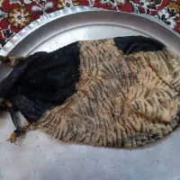 خیگ جا روغنی