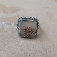 انگشتر شجر