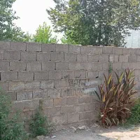 زمین تمام مسکونی ۵۴۰ متر سند تک برگ واقع در فخب|فروش زمین و ملک کلنگی|رشت, کوی حسینی|دیوار