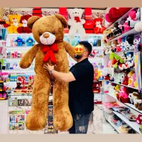 مگه داریم خاص تر از این عروسک / سرزمین هدیه