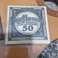 سیم گیتار آکوستیک ارنی بال ارث وود